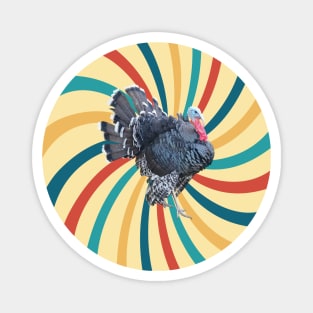 Turkey Huynosis Spiral rooster Hypnotic trance Magnet